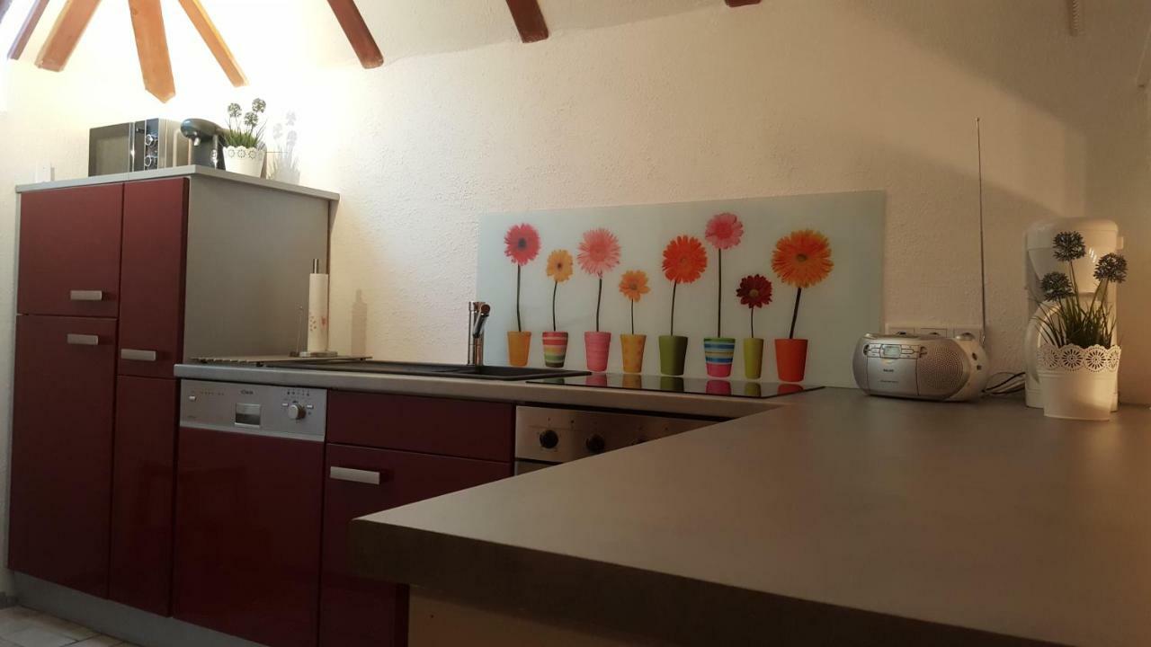 Ferienhaus Lilly Am Silbersee Frielendorf エクステリア 写真